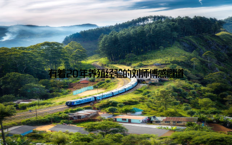 有着20年养殖经验的刘师傅感慨道