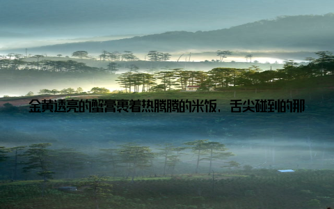 金黄透亮的蟹膏裹着热腾腾的米饭, 舌尖碰到的那瞬间, 我脑子里就炸开了——这哪是食物? 分明是液态黄金! 老板笑着说这一只顶你半个月工资, 福建漳州那边养的