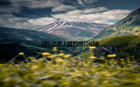团队负责人林教授介绍道