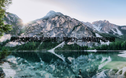 那些凌晨测水质的背影, 那些为一条病鱼守夜的晚上, 所有看不见的付出, 最终都化作鱼尾划出的完美弧线, 在懂它的人心里激起涟漪