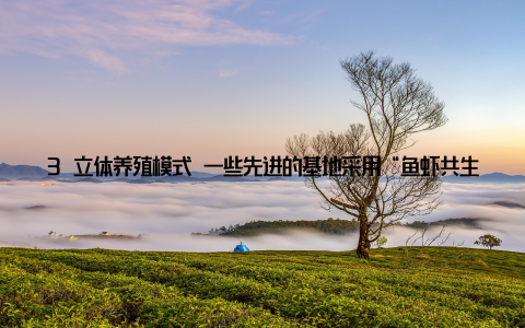 3 立体养殖模式 一些先进的基地采用“鱼虾共生”或“光伏+水产”模式, 提升土地利用率的同时增加收益来源, 形成“一地多用”的可持续经营模式