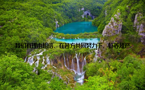 我们有理由相信, 在各方共同努力下, 虾养殖产业将成为中国乡村全面振兴的亮丽名片, 为农业农村现代化发展书写新篇章