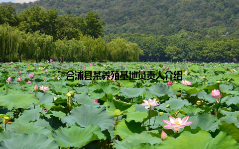 ”合浦县某养殖基地负责人介绍