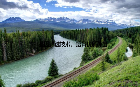 – 基因筛选技术, 培育优质种苗