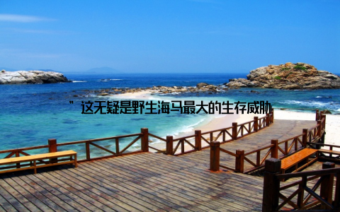 ”这无疑是野生海马最大的生存威胁