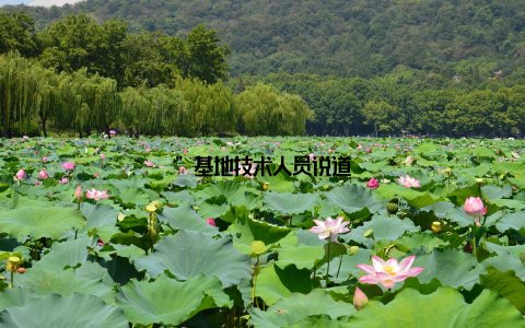 ”基地技术人员说道