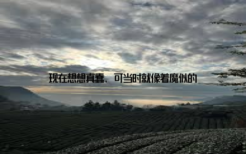 现在想想真蠢, 可当时就像着魔似的