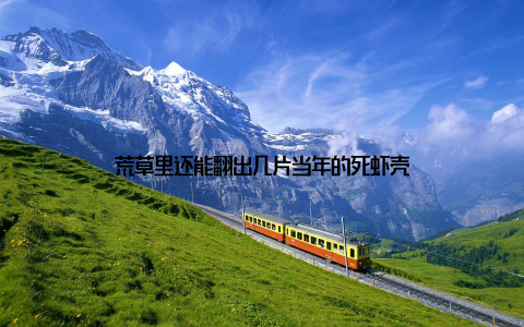 荒草里还能翻出几片当年的死虾壳