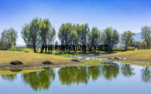 养殖池塘的建设也至关重要