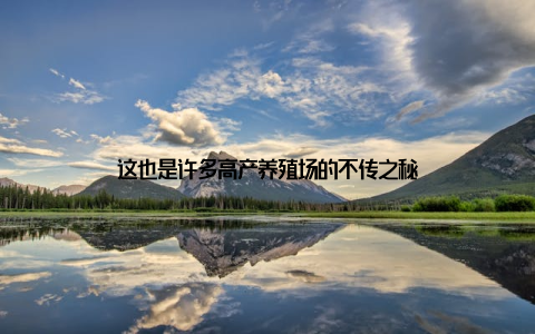 这也是许多高产养殖场的不传之秘