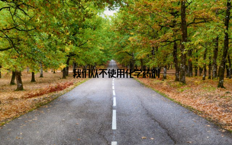 我们从不使用化学药剂