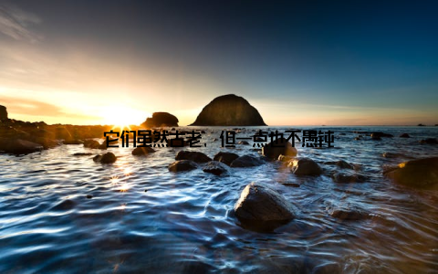 它们虽然古老, 但一点也不愚钝