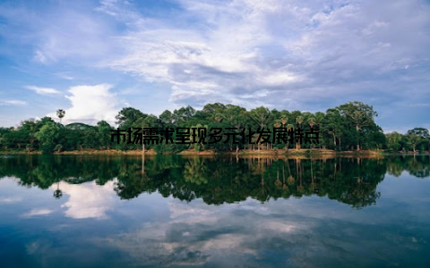 市场需求呈现多元化发展特点