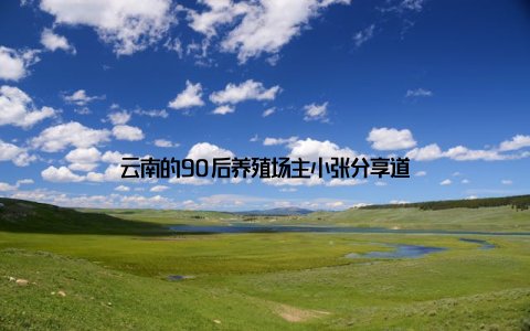 云南的90后养殖场主小张分享道