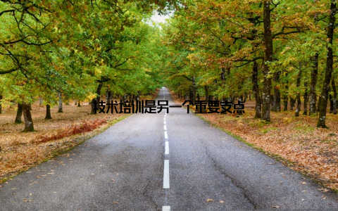 技术培训是另一个重要支点