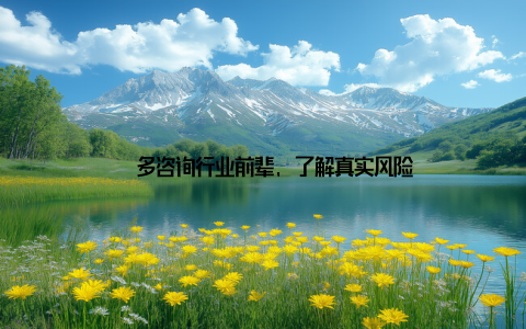 – 多咨询行业前辈, 了解真实风险