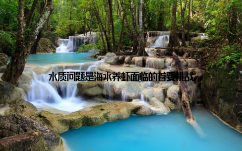 水质问题是海水养虾面临的首要挑战