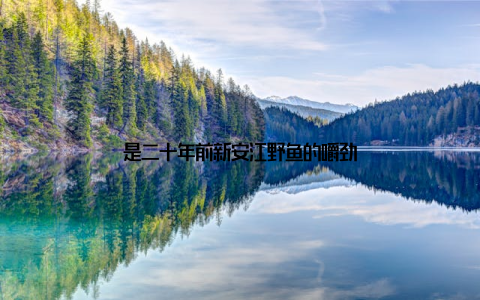 是二十年前新安江野鱼的嚼劲