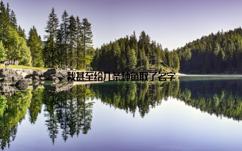 我甚至给几条种鱼取了名字