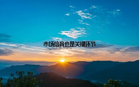 市场培育也是关键环节