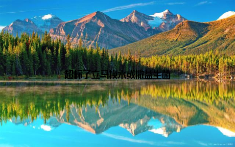 超标了立马换水或撒益生菌