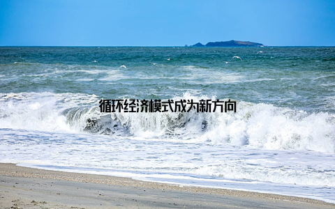 循环经济模式成为新方向