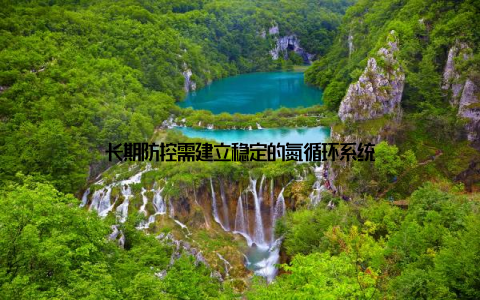长期防控需建立稳定的氮循环系统