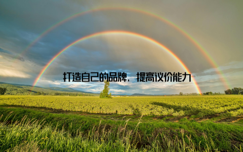 – 打造自己的品牌, 提高议价能力