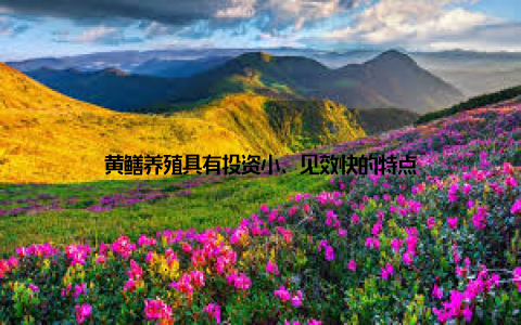 黄鳝养殖具有投资小、见效快的特点