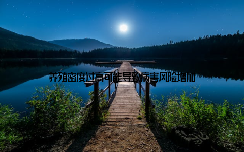 养殖密度过高可能导致病害风险增加