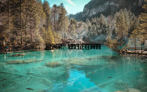 回到家, 媳妇正在算账