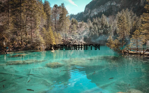 刘明的困境并非个例