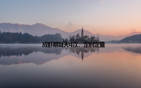 – 成虾期每天4次, 定时定量