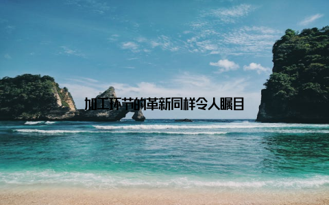 加工环节的革新同样令人瞩目