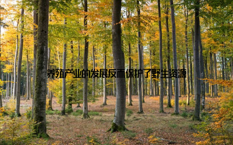 养殖产业的发展反而保护了野生资源