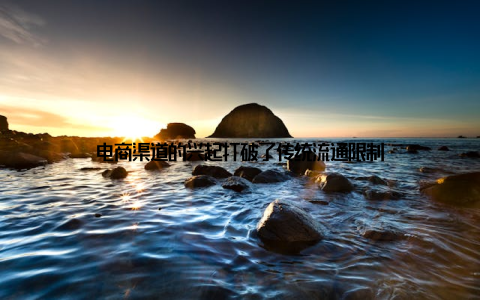 电商渠道的兴起打破了传统流通限制