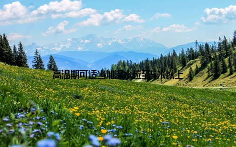 高温期可适当加深水位至5米以上