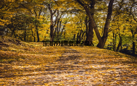 深海养殖需要资金投入