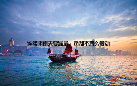 连续阴雨天要减量, 鱼都不怎么爱动