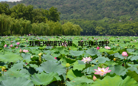 我用EM菌调节水质, 减少换水频率