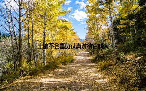 土地不会辜负认真对待它的人