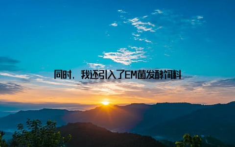 同时, 我还引入了EM菌发酵饲料