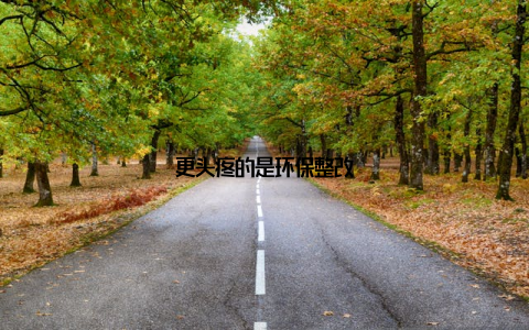 更头疼的是环保整改