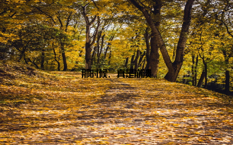 那时候, 真是崩溃