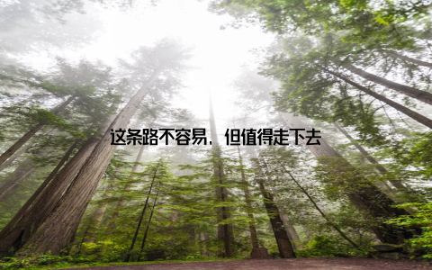 这条路不容易, 但值得走下去