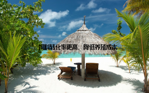 – 饲料转化率更高, 降低养殖成本