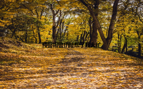 预警报警功能帮了我大忙