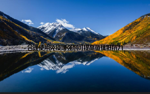 合理使用免疫增强剂可提高鱼体抵抗力