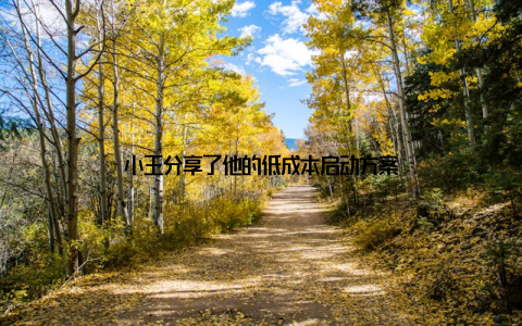 小王分享了他的低成本启动方案