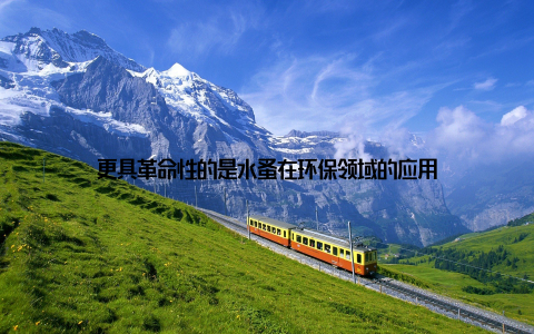 更具革命性的是水蚤在环保领域的应用